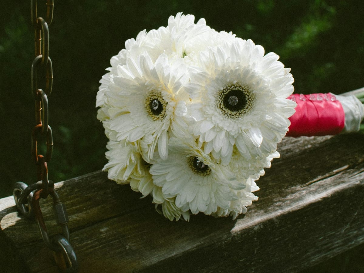 (Child) Marriage in America